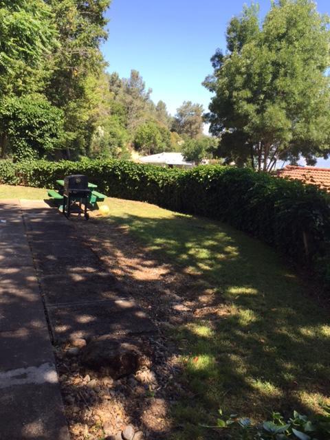 Clear Lake Vista Resort Kelseyville Exterior photo