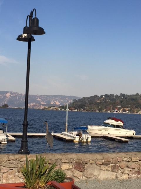 Clear Lake Vista Resort Kelseyville Exterior photo